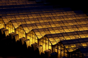 Greenhouse lights