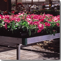 Greenhouse bench system
