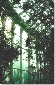 Greenhouse interior